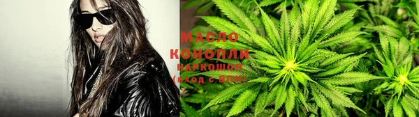 ГАЛЛЮЦИНОГЕННЫЕ ГРИБЫ Бородино