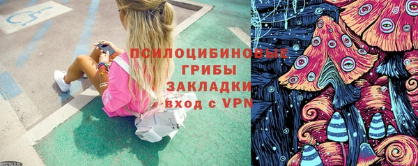 хмурый Бронницы